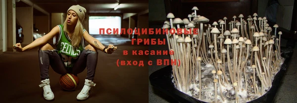 прущие грибы Нязепетровск