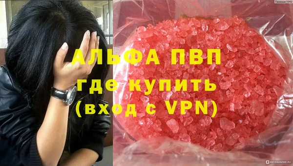 мяу мяу мука Абаза