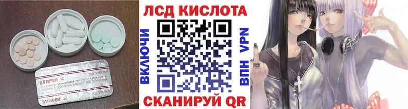 хочу наркоту  OMG маркетплейс  маркетплейс формула  Зеленогорск  LSD-25 экстази ecstasy 